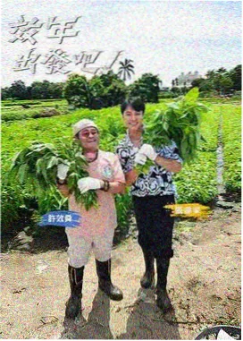 档案血战台儿庄解密纪实海报